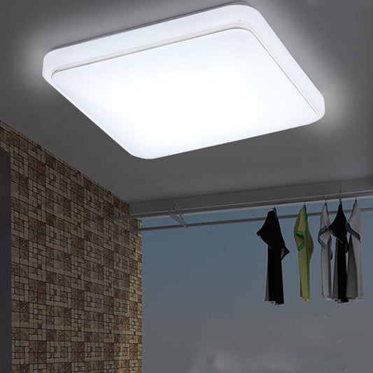 Modern LED Ceiling Lamp
