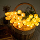 LED Tulip Chain