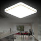 Modern LED Ceiling Lamp