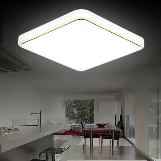 Modern LED Ceiling Lamp