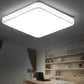 Modern LED Ceiling Lamp