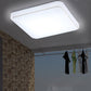 Modern LED Ceiling Lamp
