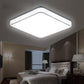 Modern LED Ceiling Lamp