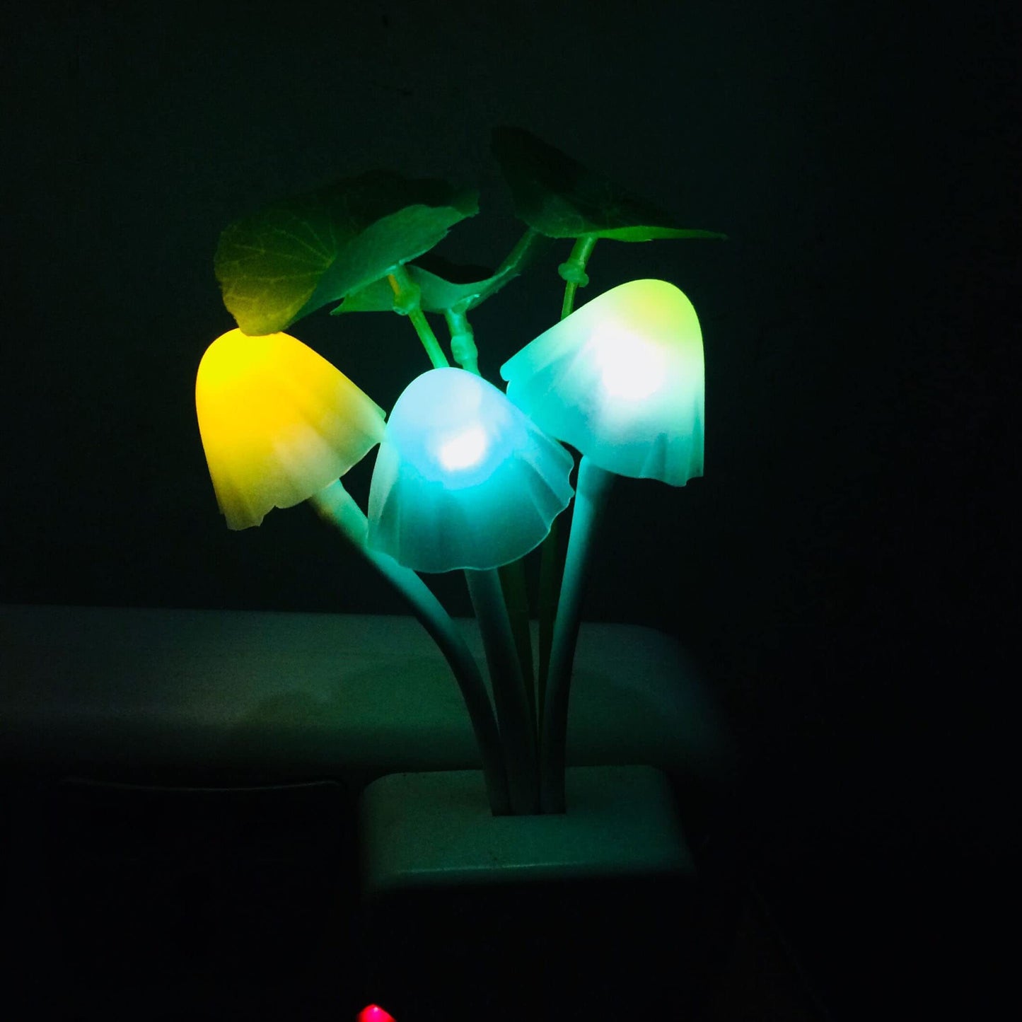 Energy-Saving Night Light