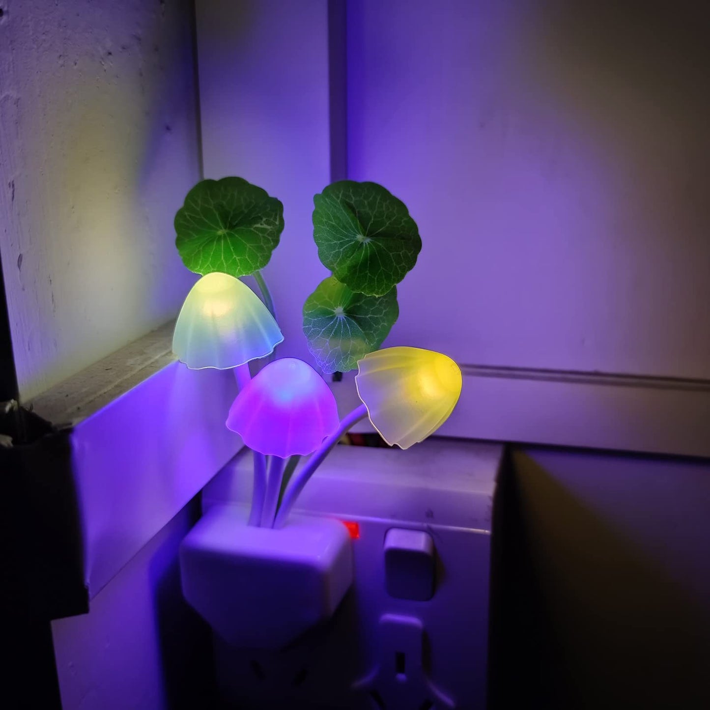 Energy-Saving Night Light